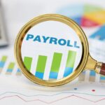 Payroll Solutions - BlueStone Services LLC