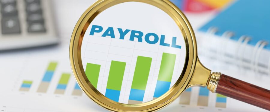 Payroll Solutions - BlueStone Services LLC