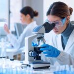 How The SBA Standards For SMBs Impact Life Science and BioTech - KatzAbosch