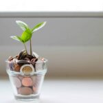 How to Choose a Business Checking Account with BlueStone Services LLC