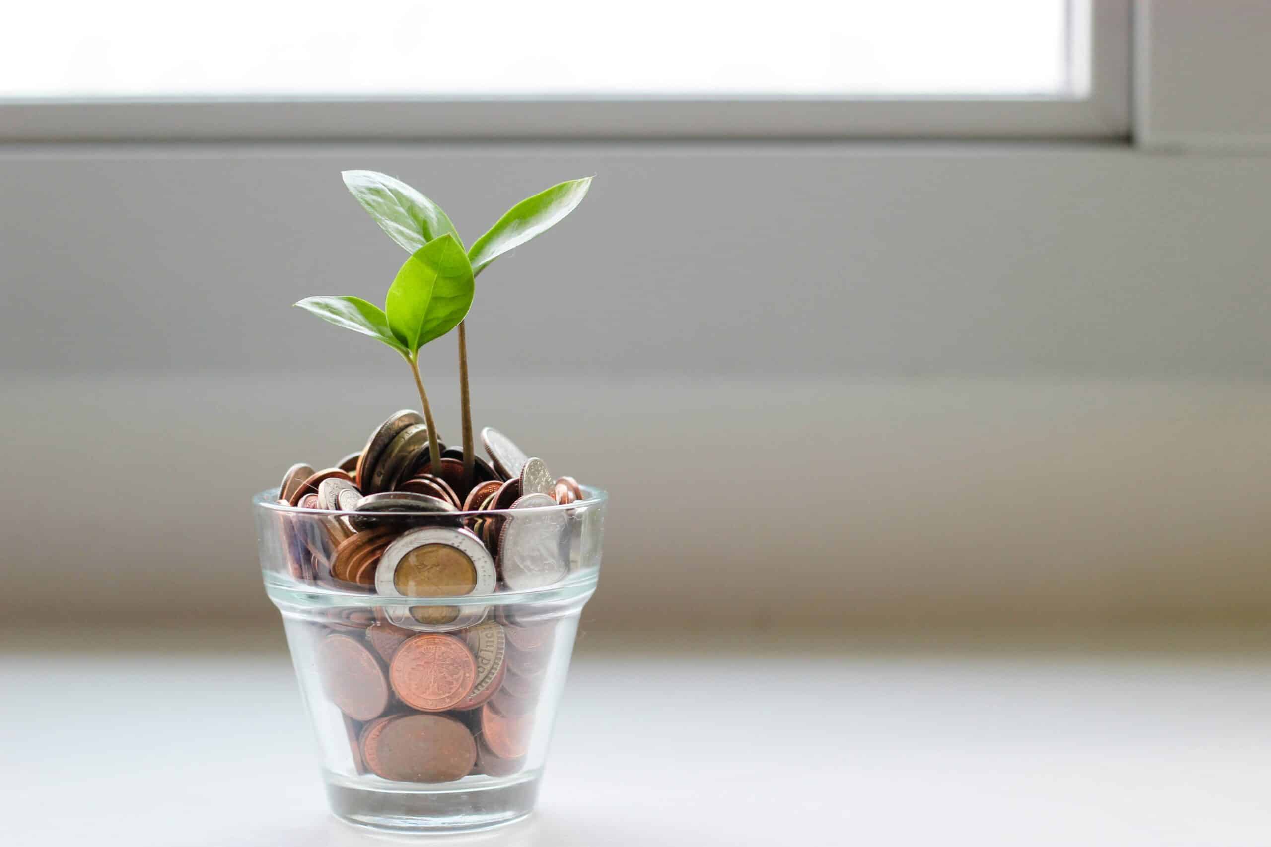 How to Choose a Business Checking Account with BlueStone Services LLC
